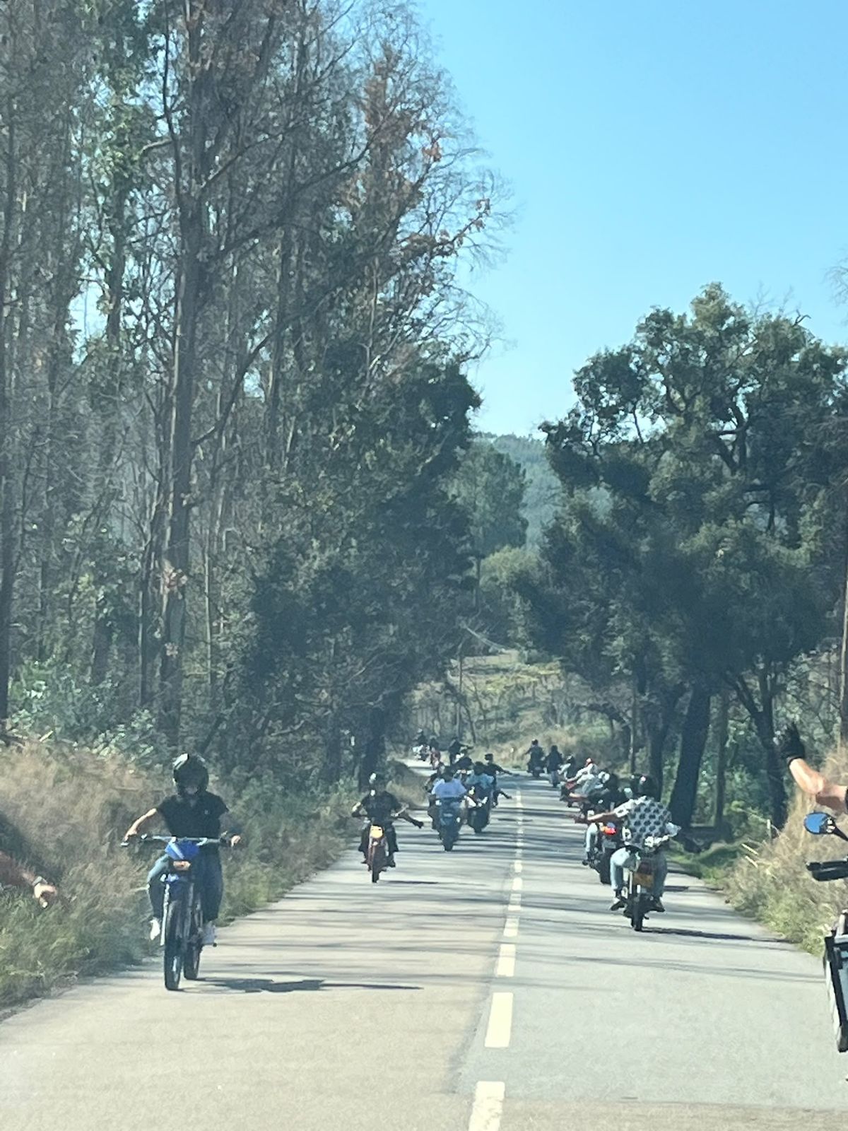 Passeio do sócio 2026 - foto 29