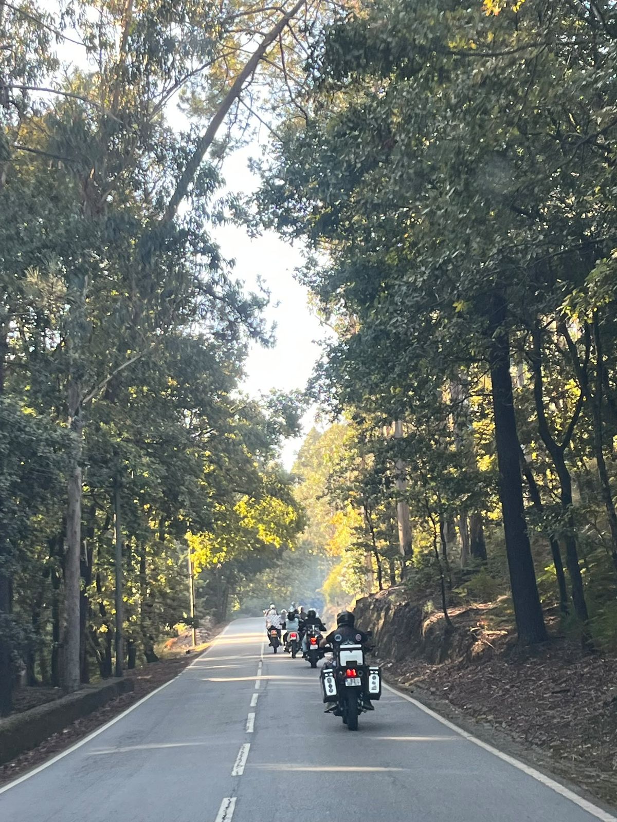 Passeio do sócio 2026 - foto 34